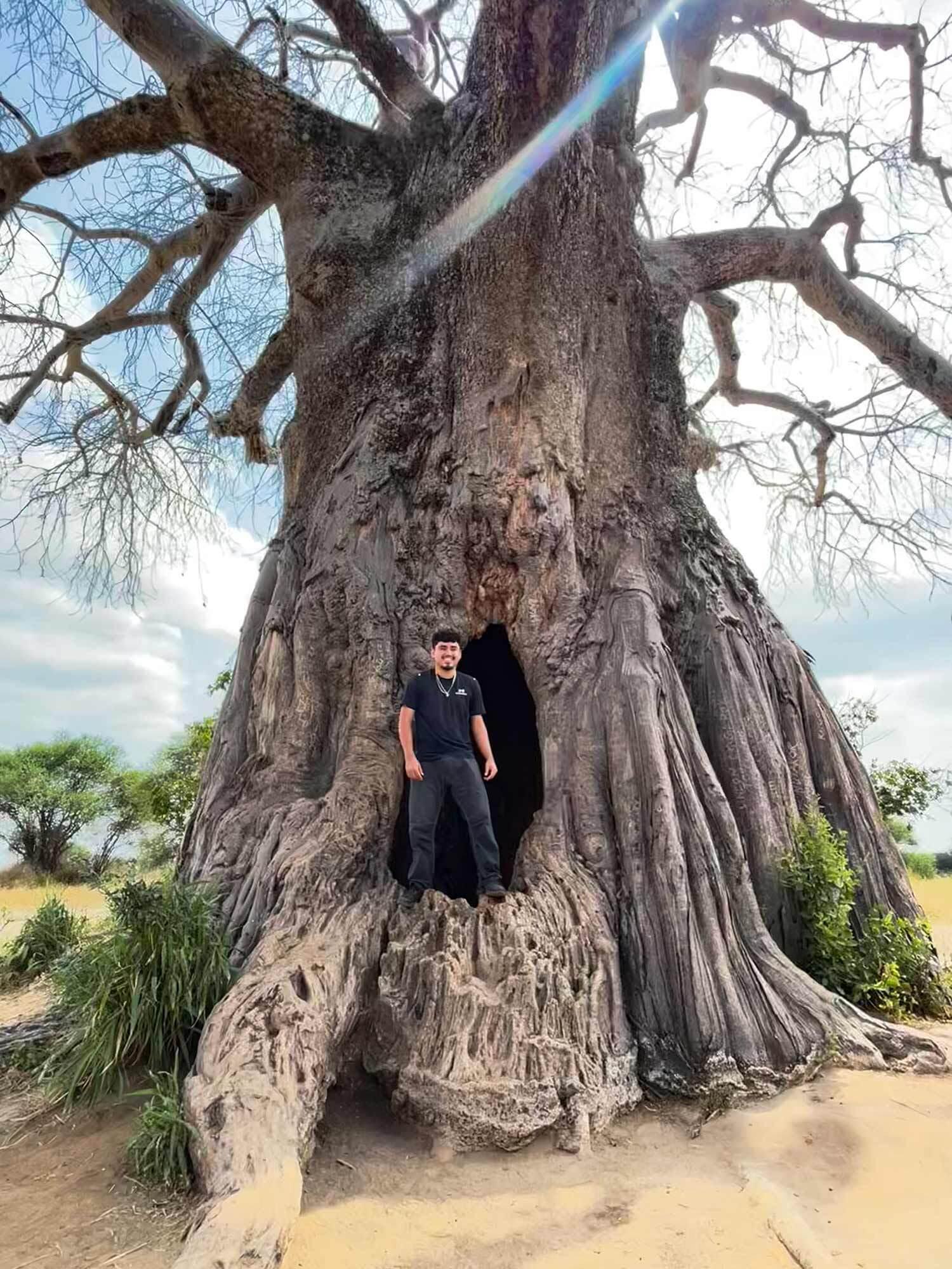 Ezequiel Delcid Hernandez poses on tree
