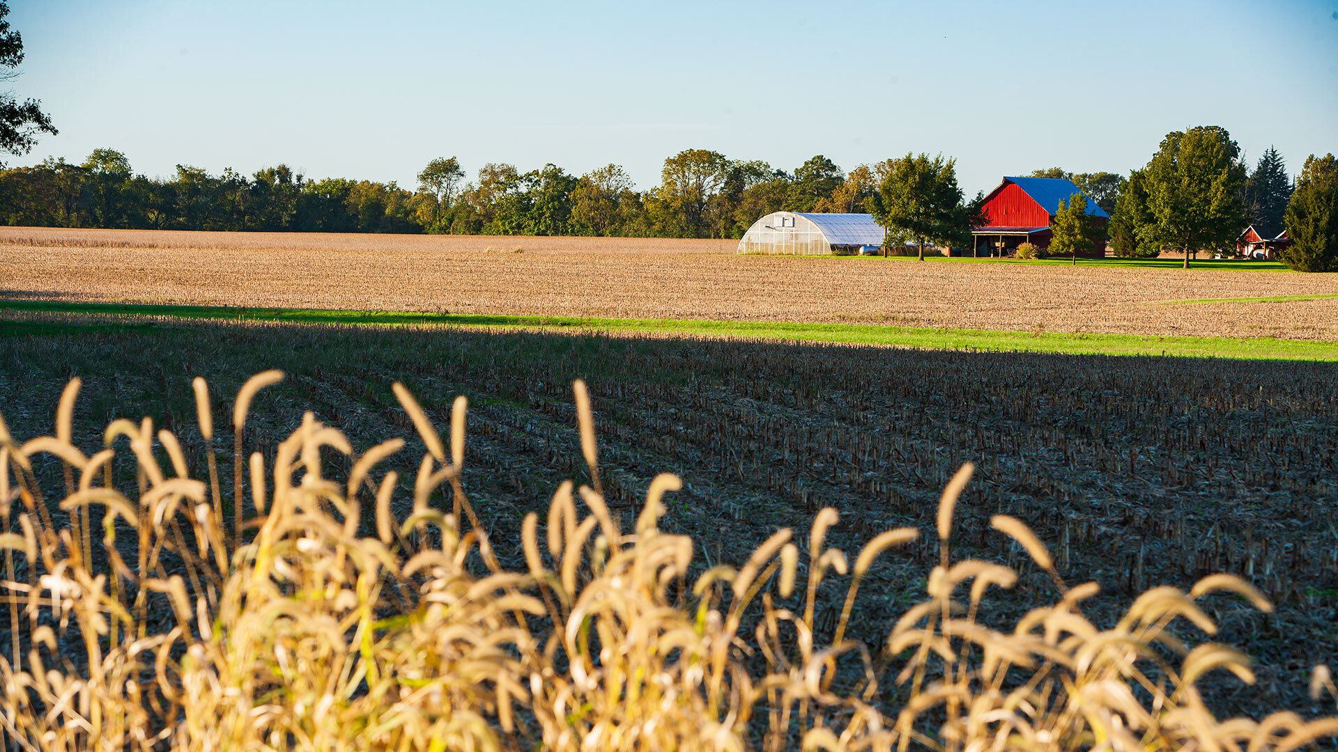 Farm 10082010 08 1920x1080