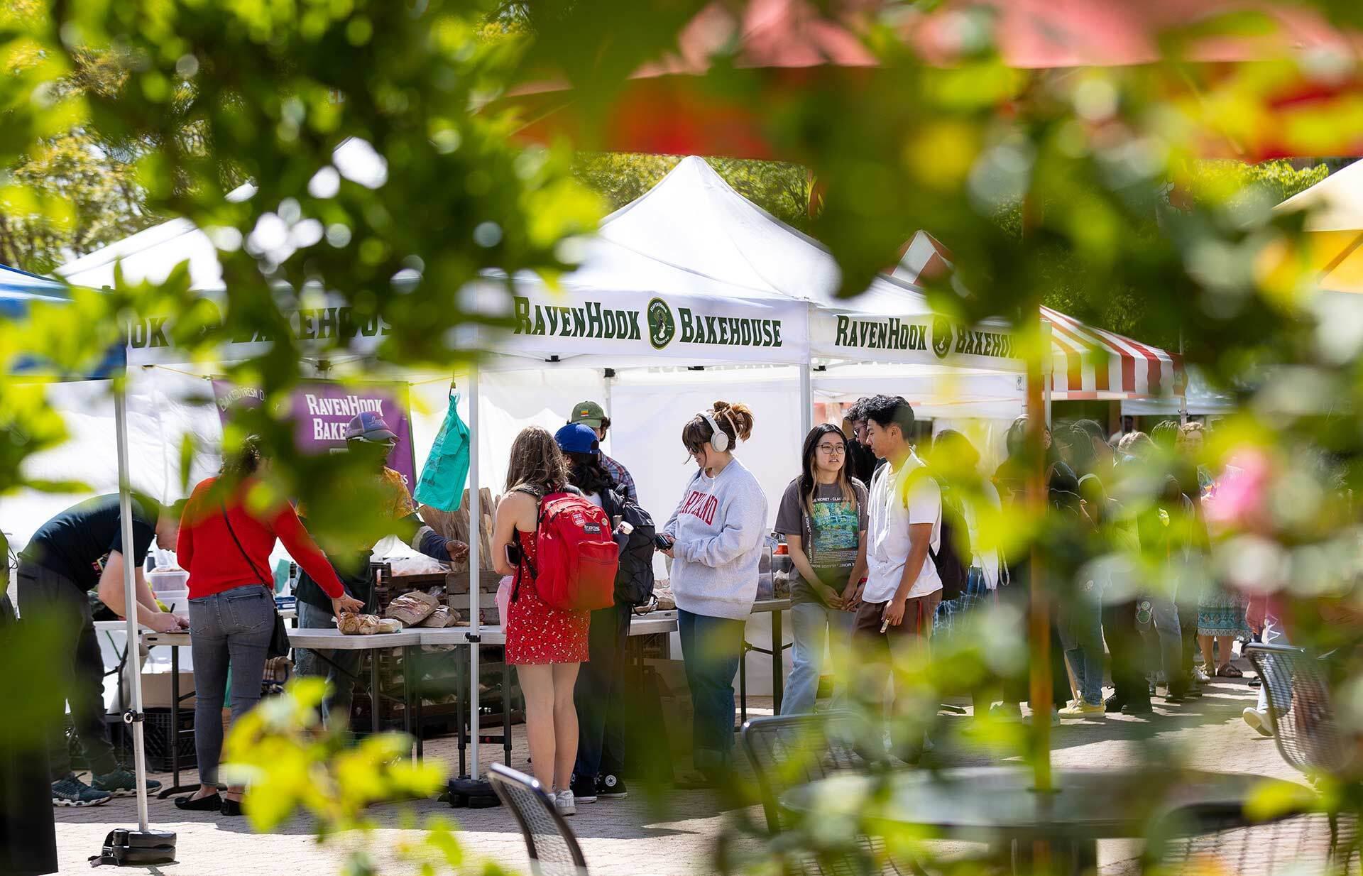 Students shopping at the farmer's market
