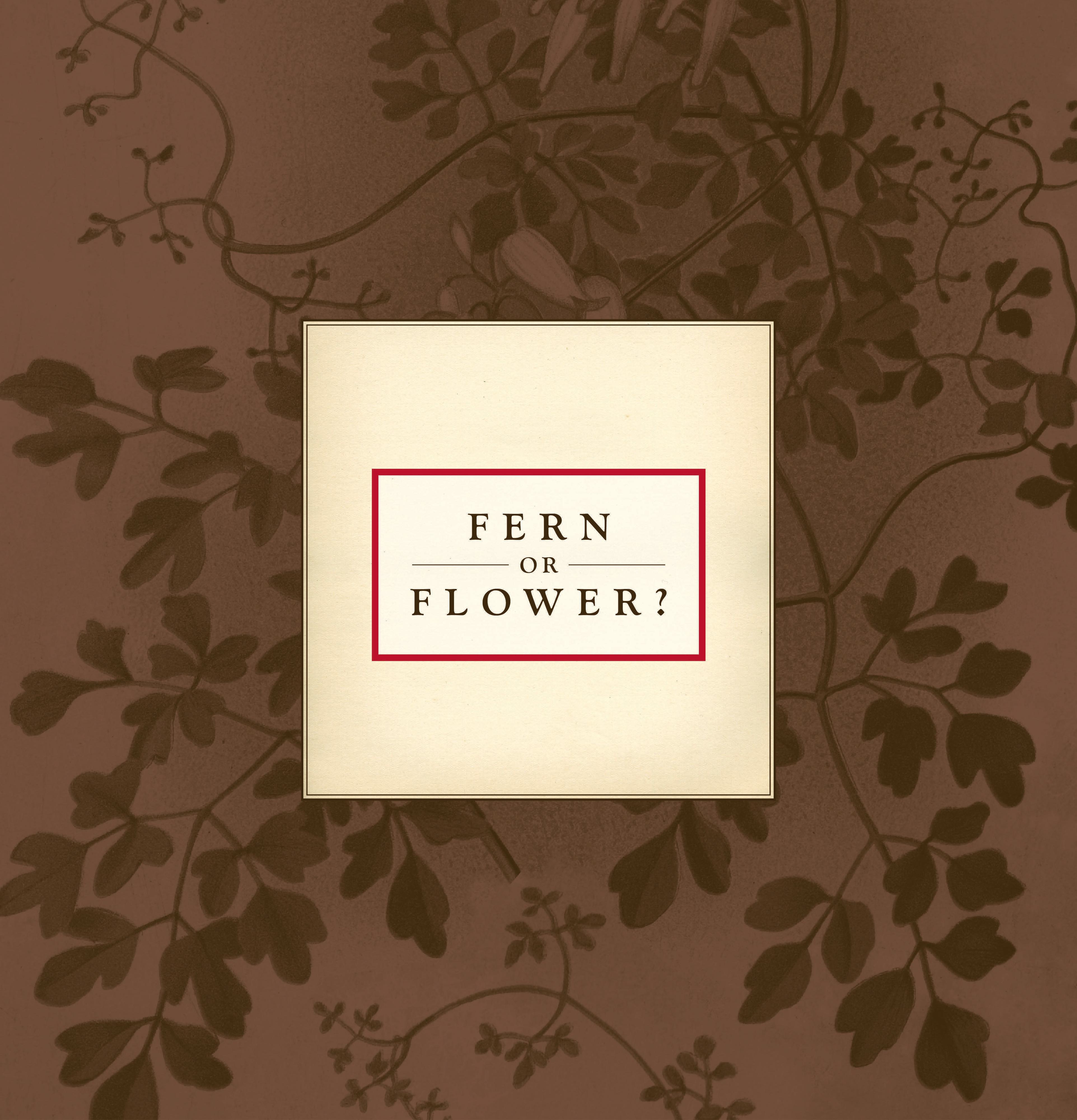 Fern or Flower20intro20image