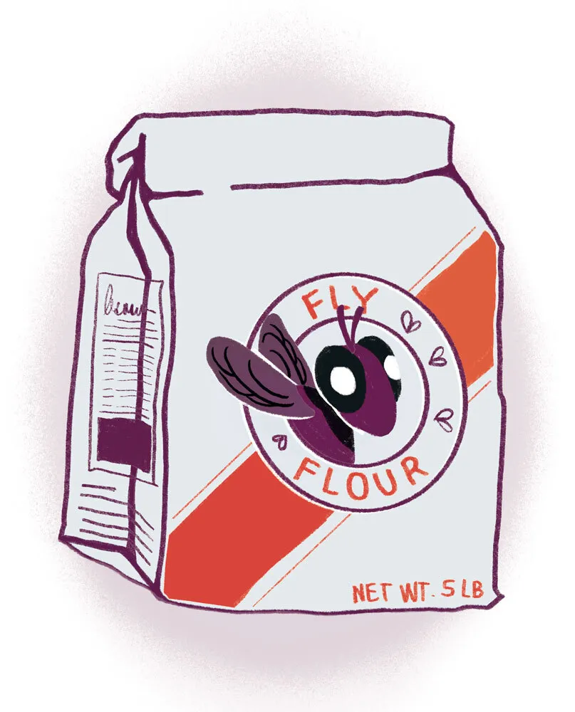 bag of fly flour