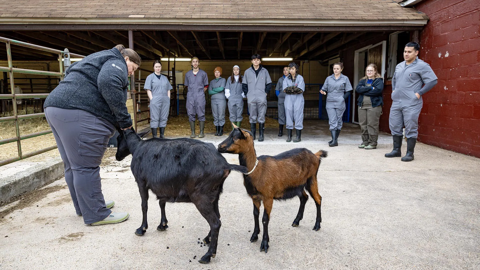 professor teaches with two goats in front of class at Campus Farm