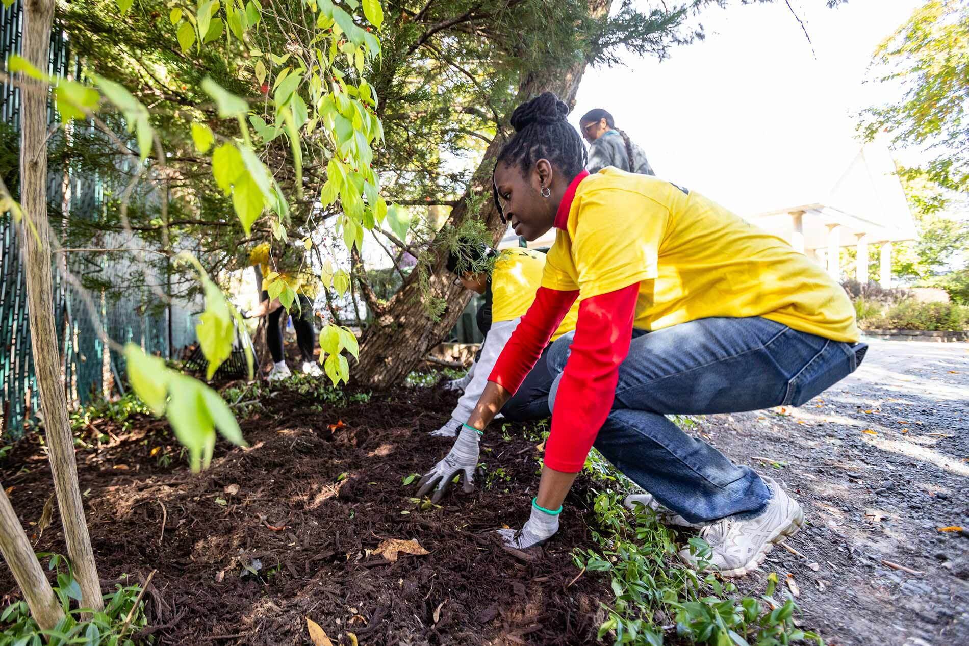 woman in yellow shirt works with mulch in a flower bed