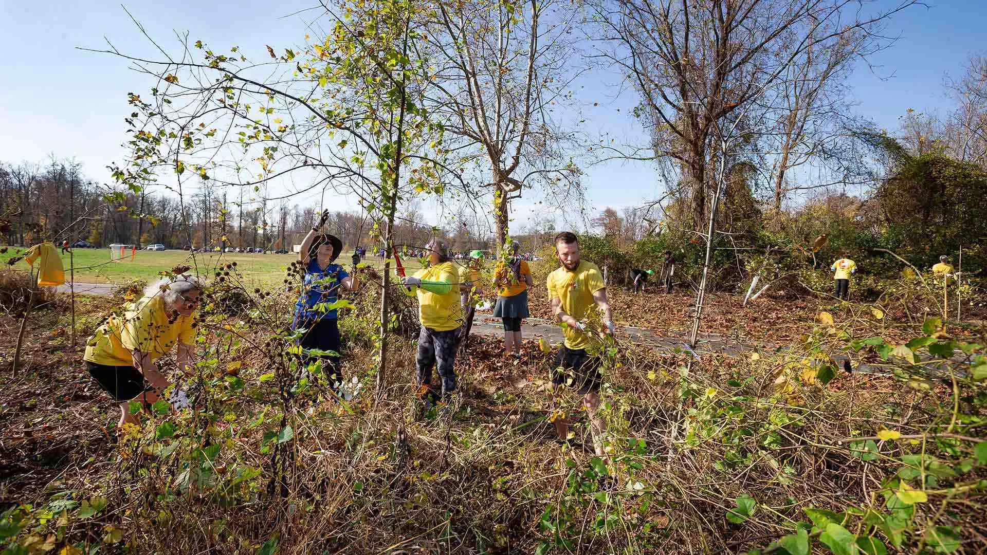 4 people trim brush along Paint Branch Trail