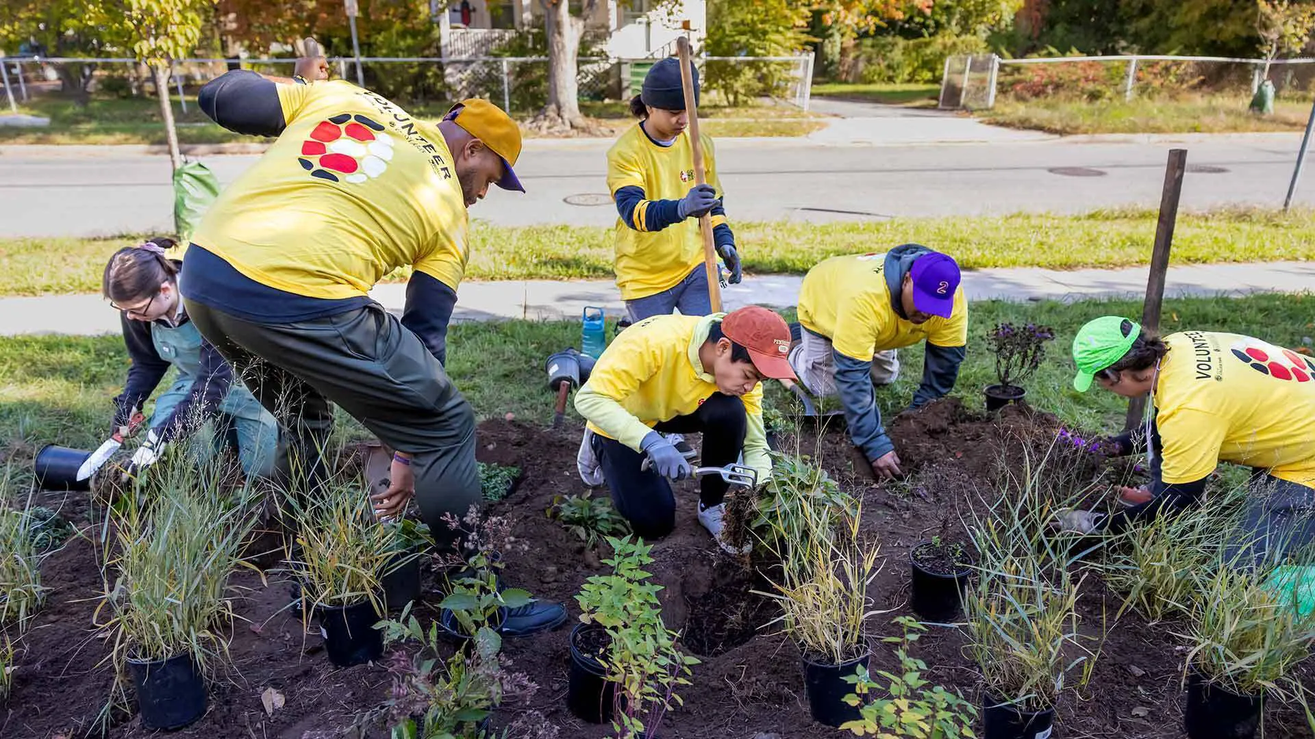six crouching people work in a garden