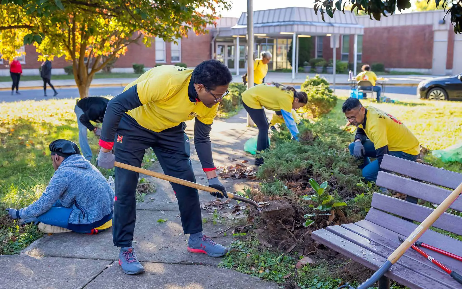 Several people remove weeds along a walkway