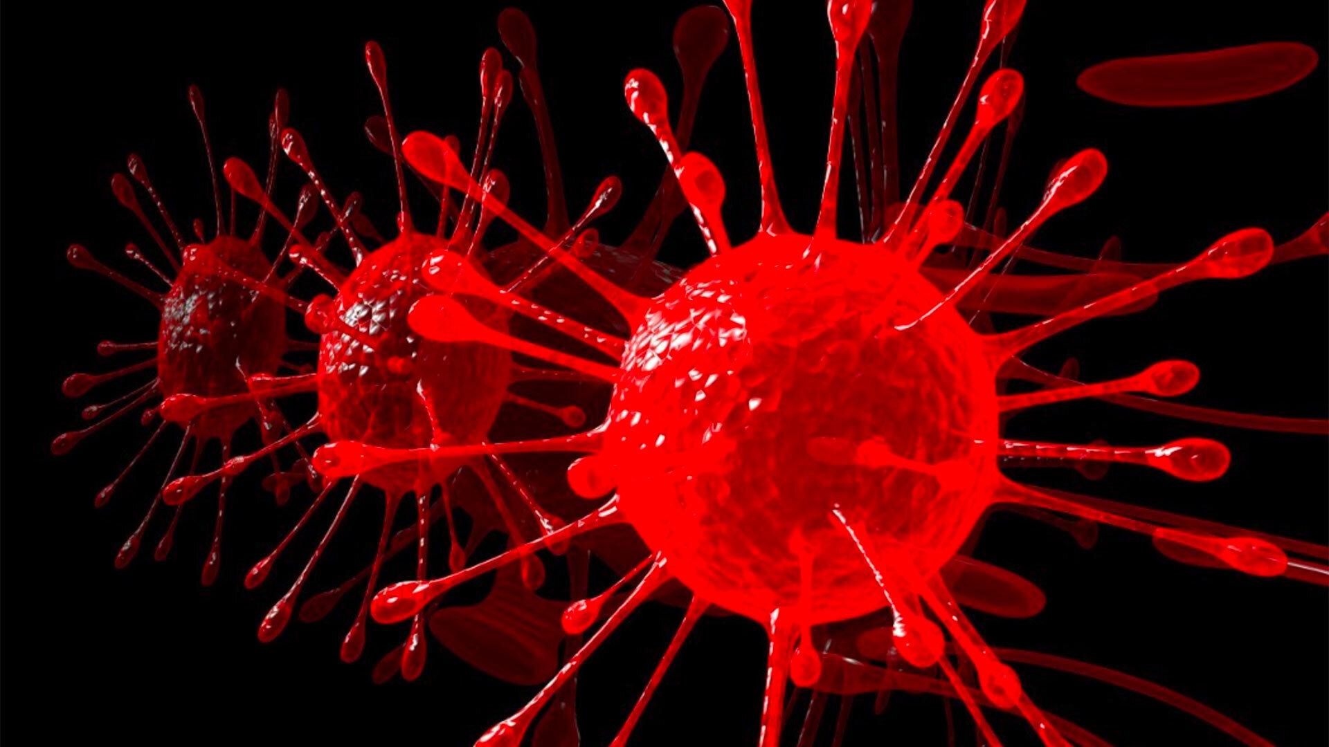 IBBR Molecular 1920x1080