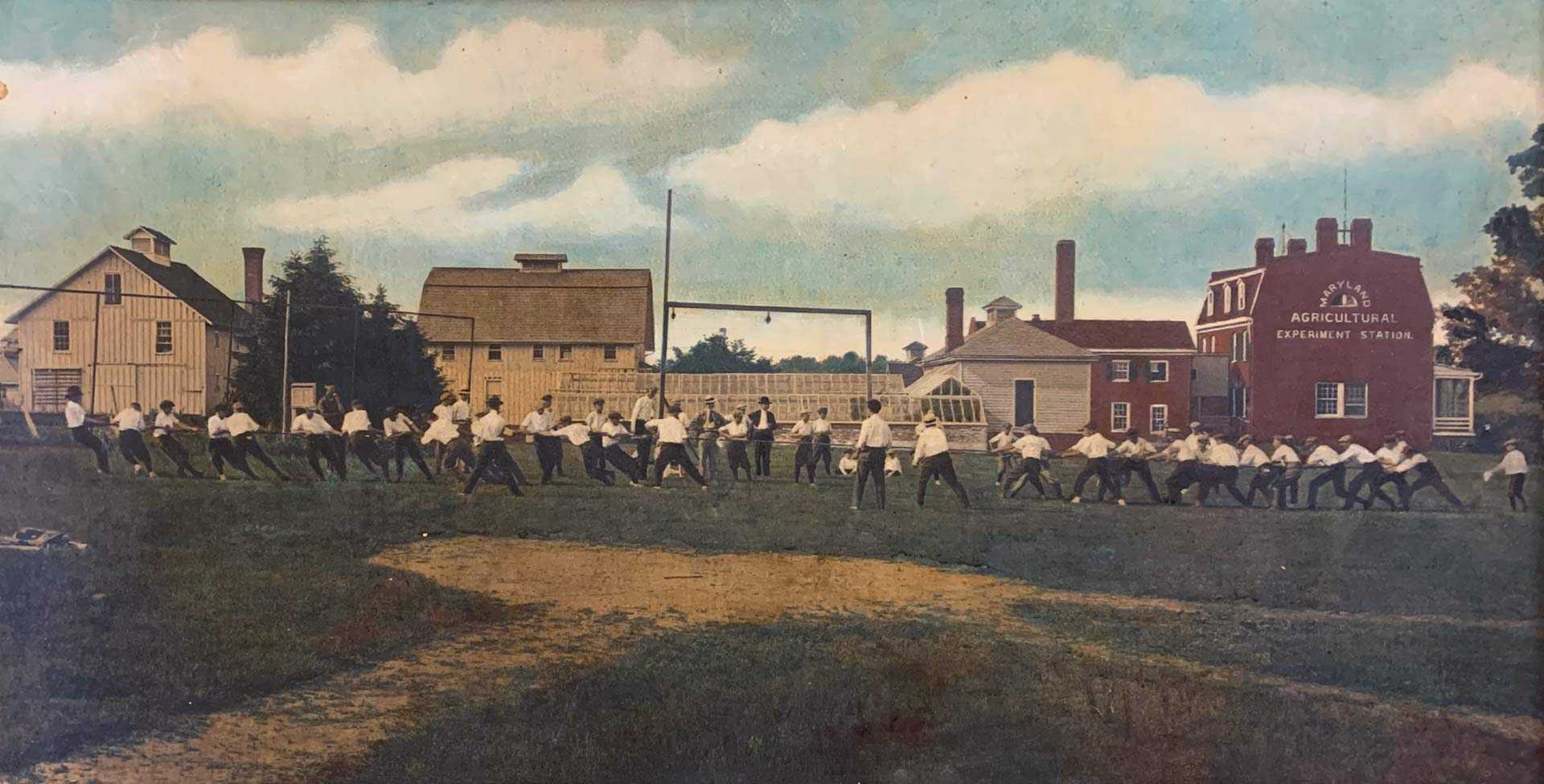 Students play tug-of-war