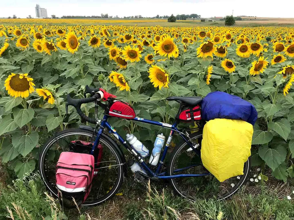 Bike with sunflowers