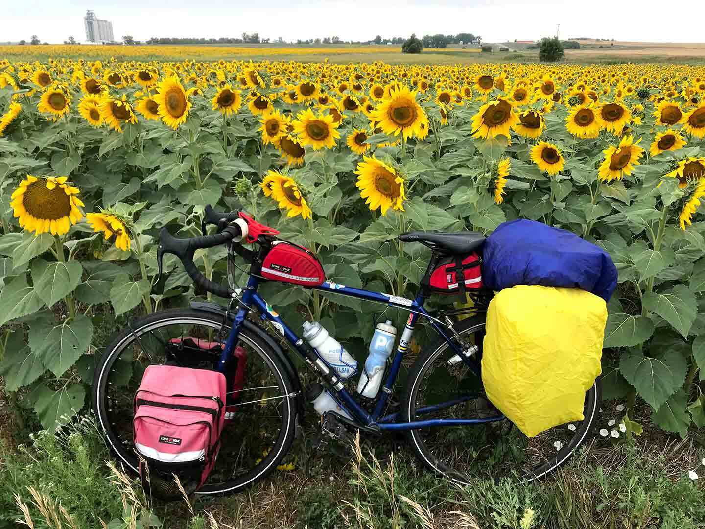 Bike with sunflowers