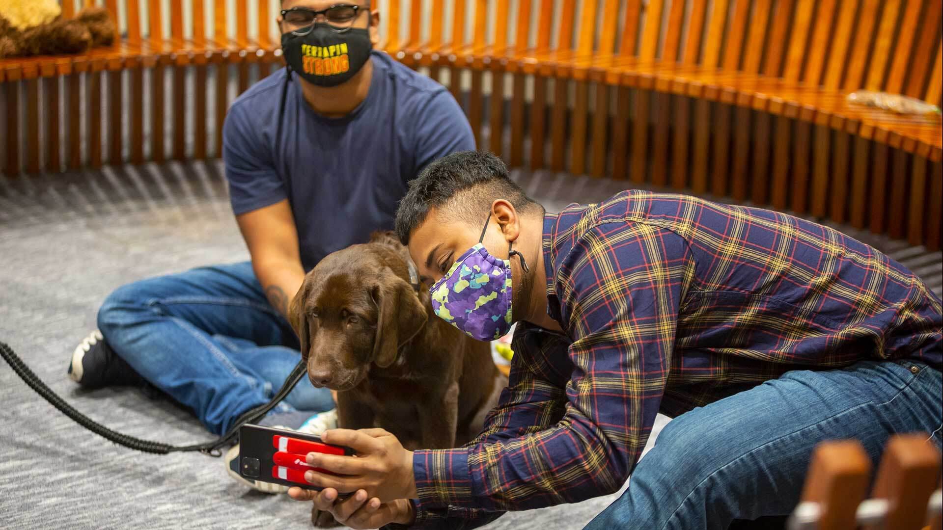 Student takes a selfie with Teddy the comfort dog