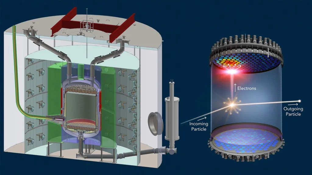 graphic explaining LZ detector
