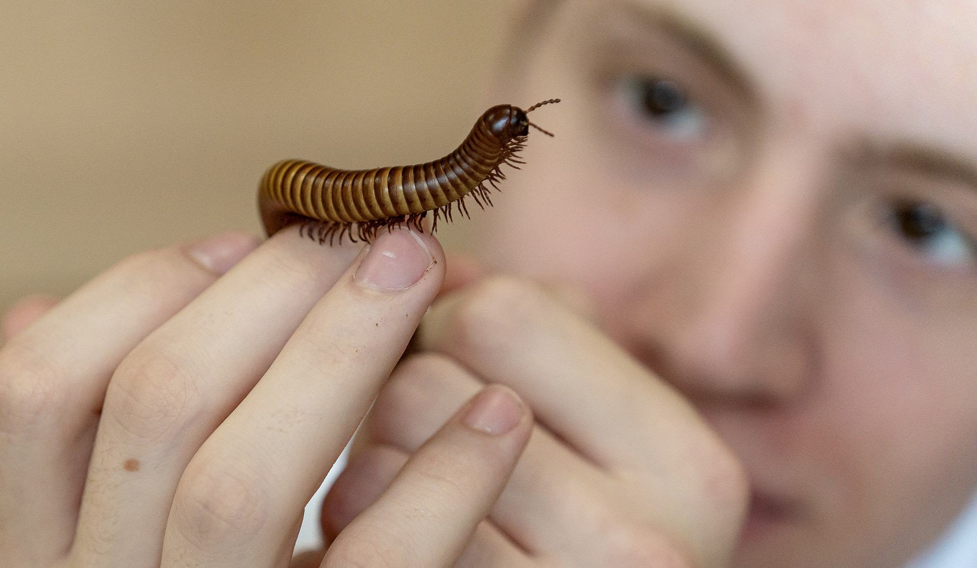 Guy looks at big bug crawling on his hand