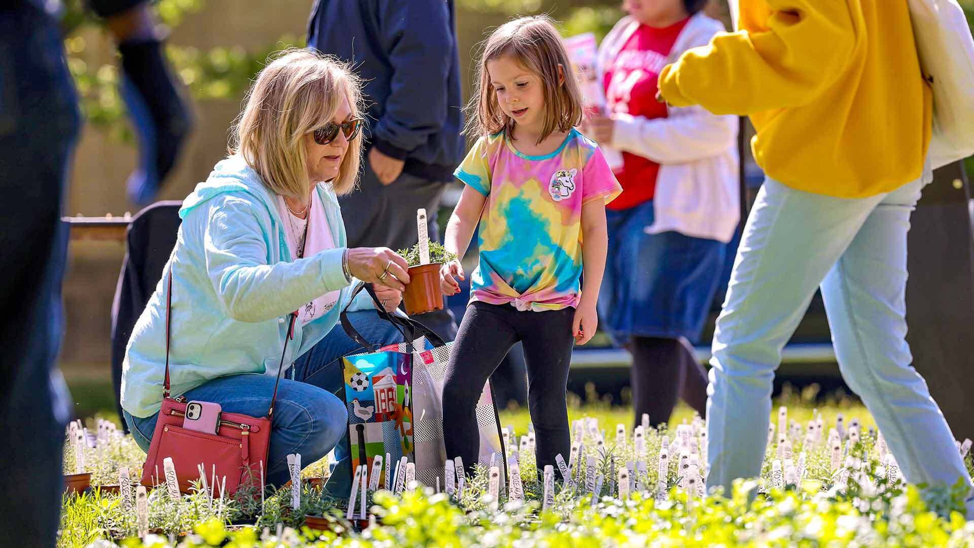 Visitors look at herbs