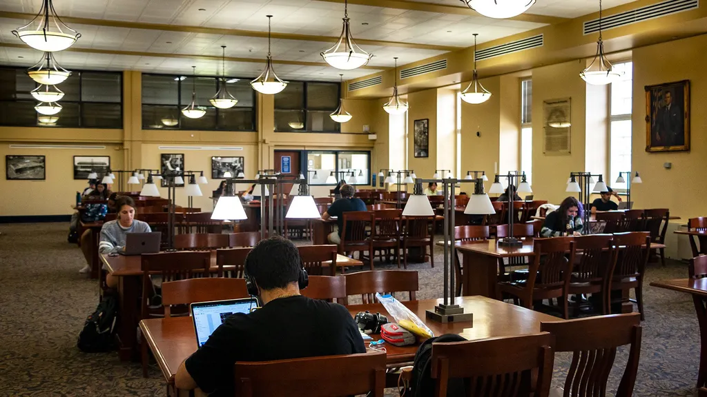 Students studying in McKeldin's "Hogwarts Room"