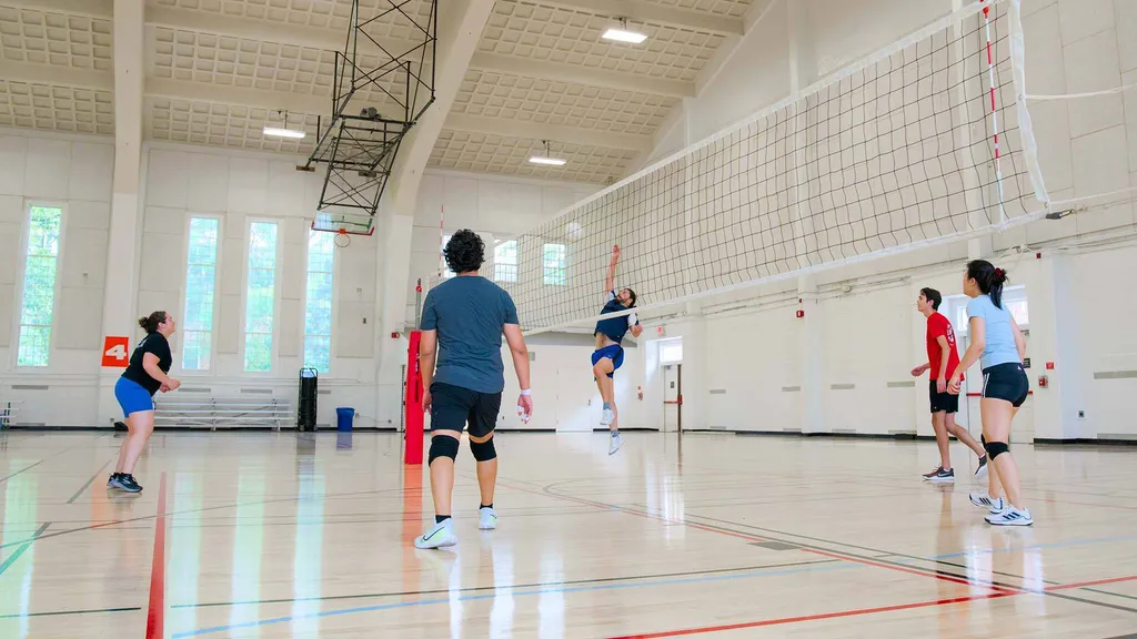 students play volleyball