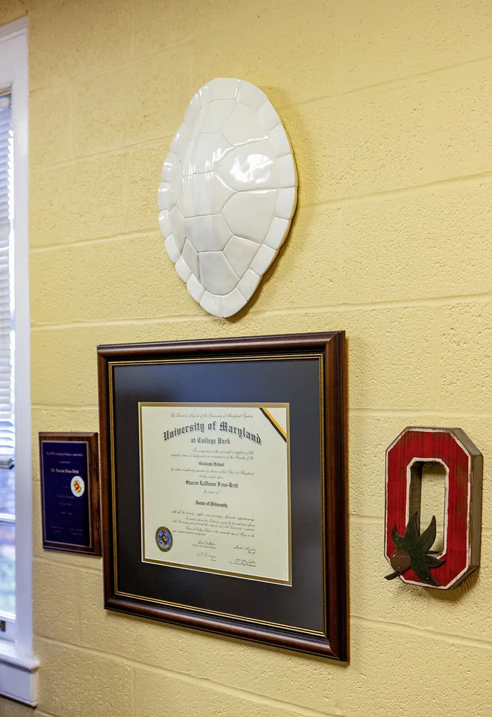 large white turtle shell hangs on wall with degree and Ohio State logo