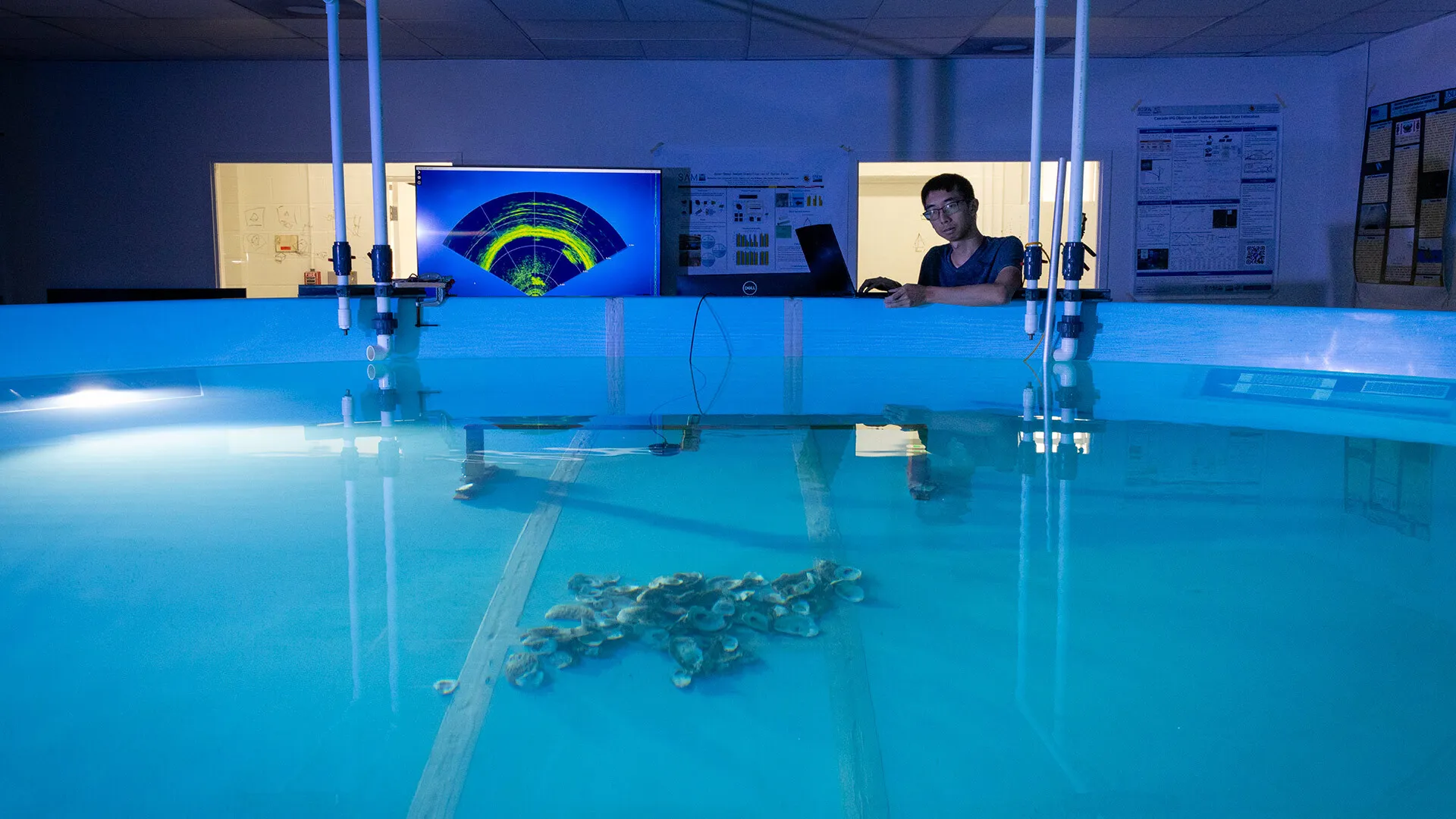 researcher performs sonar testing in tank with oysters