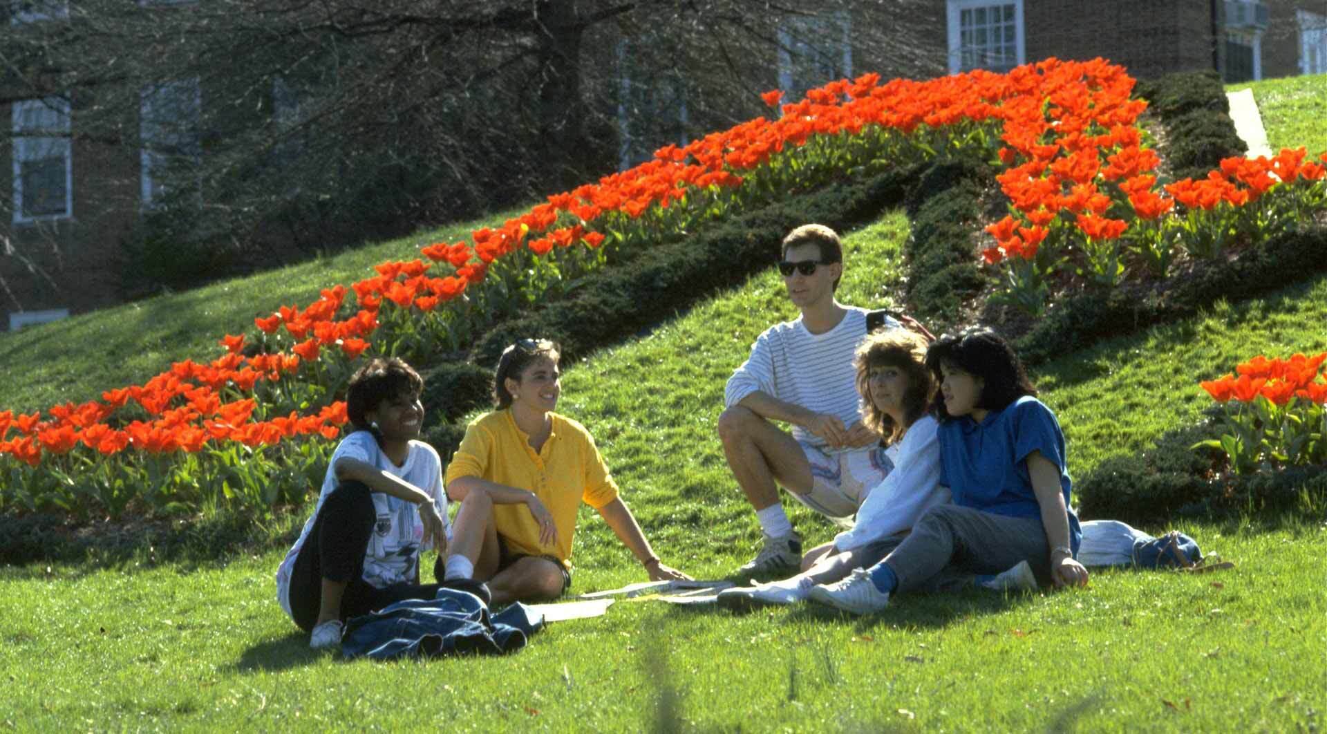 Photo 21 Students on M Red Flowers 1920x1080