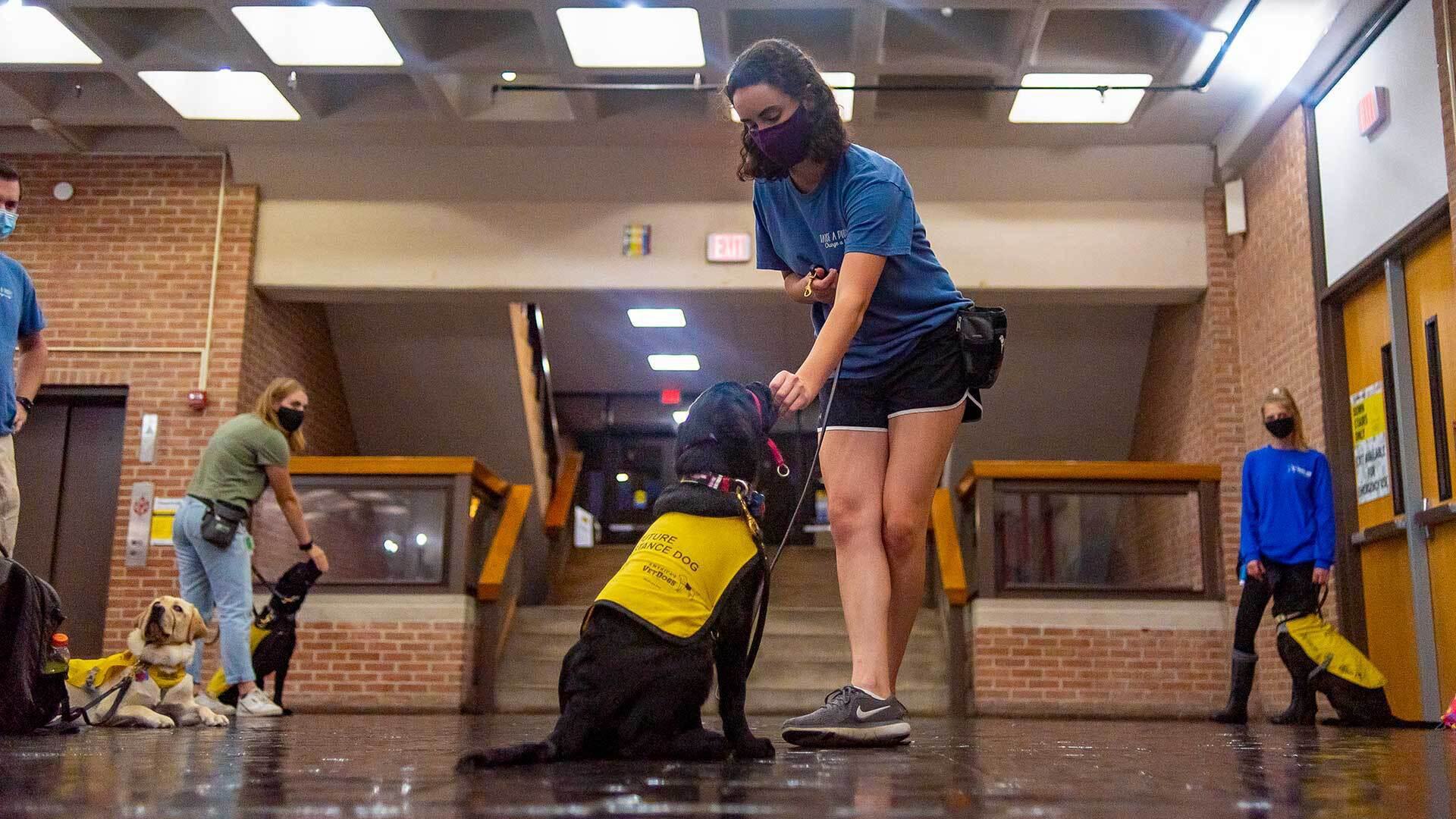 Puppy Training 09172020 EH 5598 1920x1080