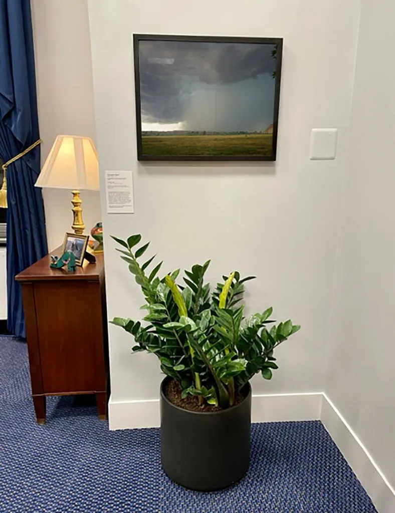 painting hanging in U.S. Rep. Joyce Beatty's office