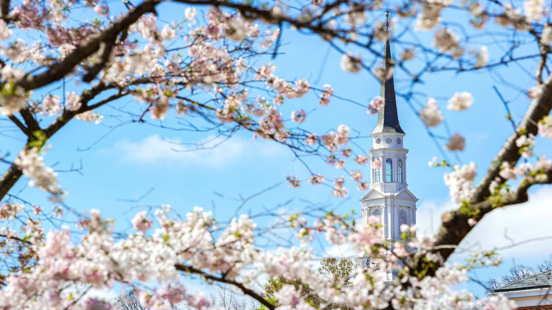 Steeple Blossoms 03262020 JC 4329 1920x1080