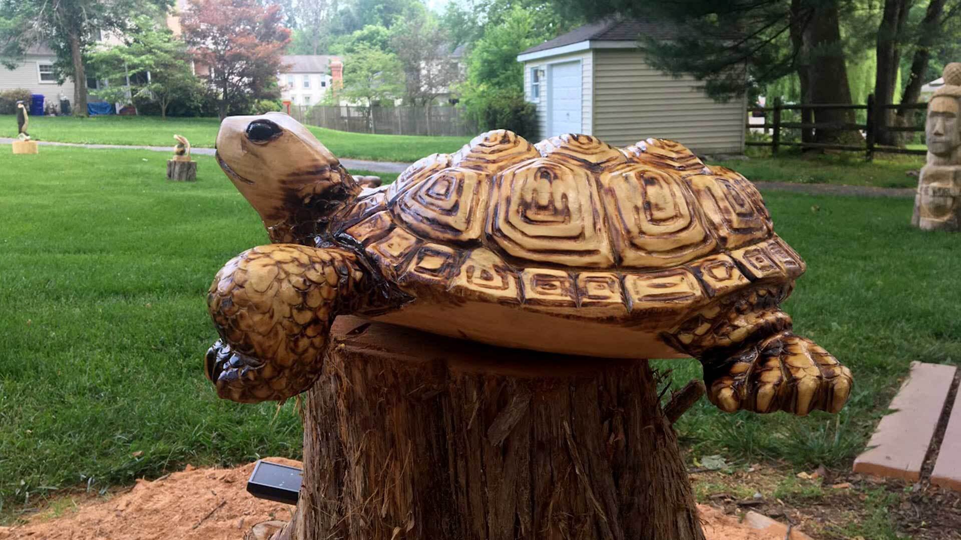 Wooden carved turtle