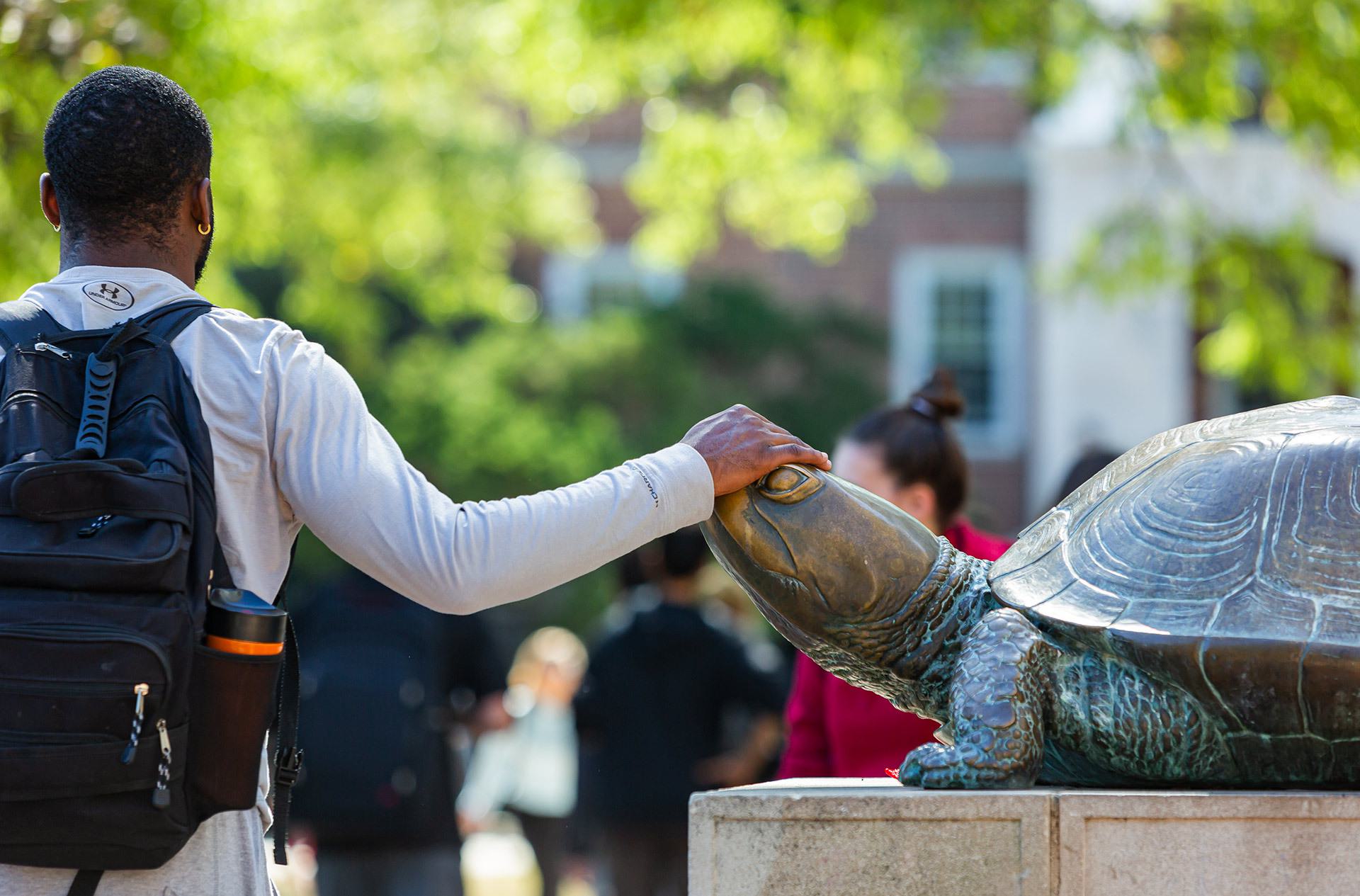 student rubs Testudo statue's nose