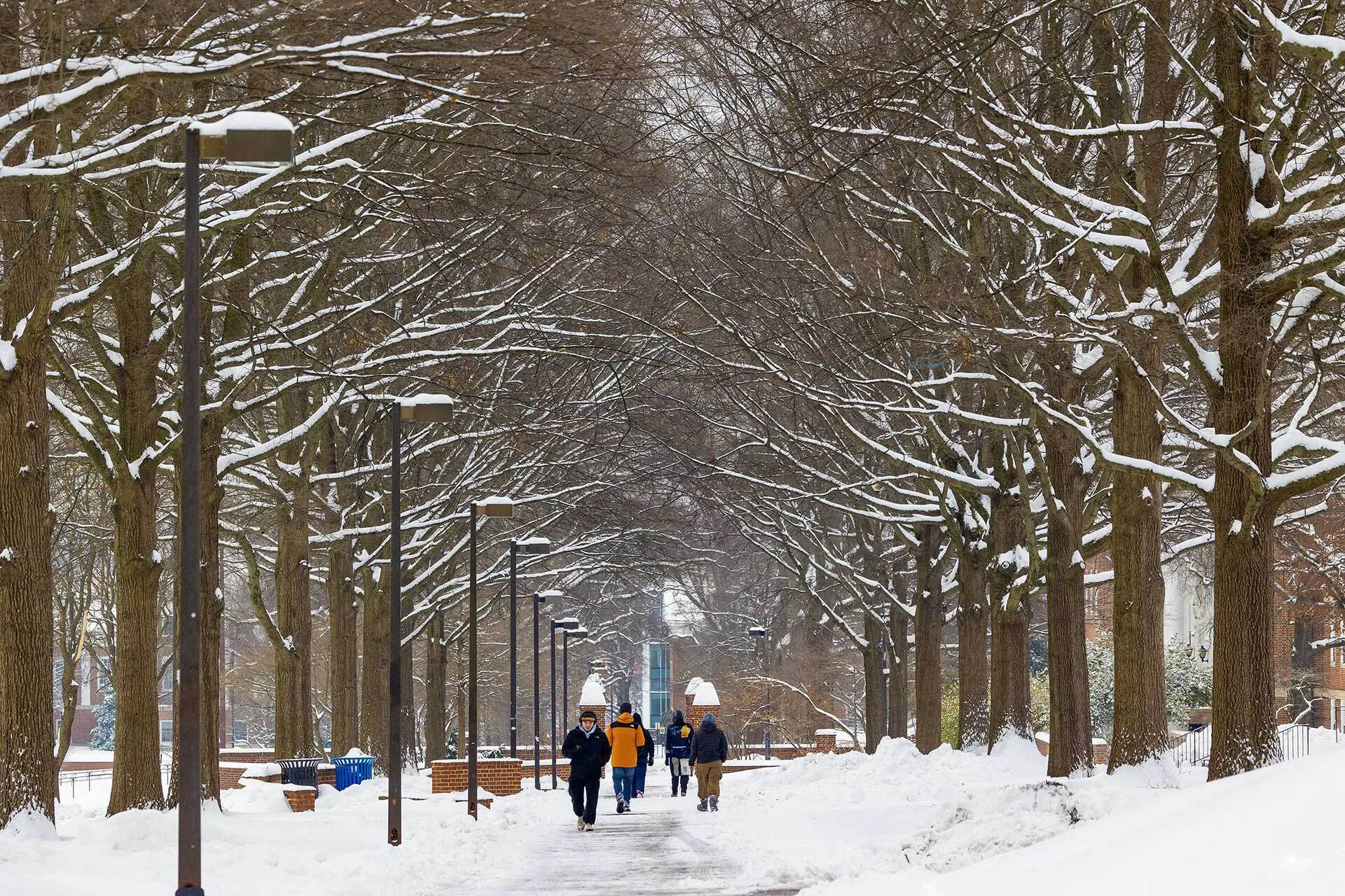 People walk under large trees on McKeldin Mall