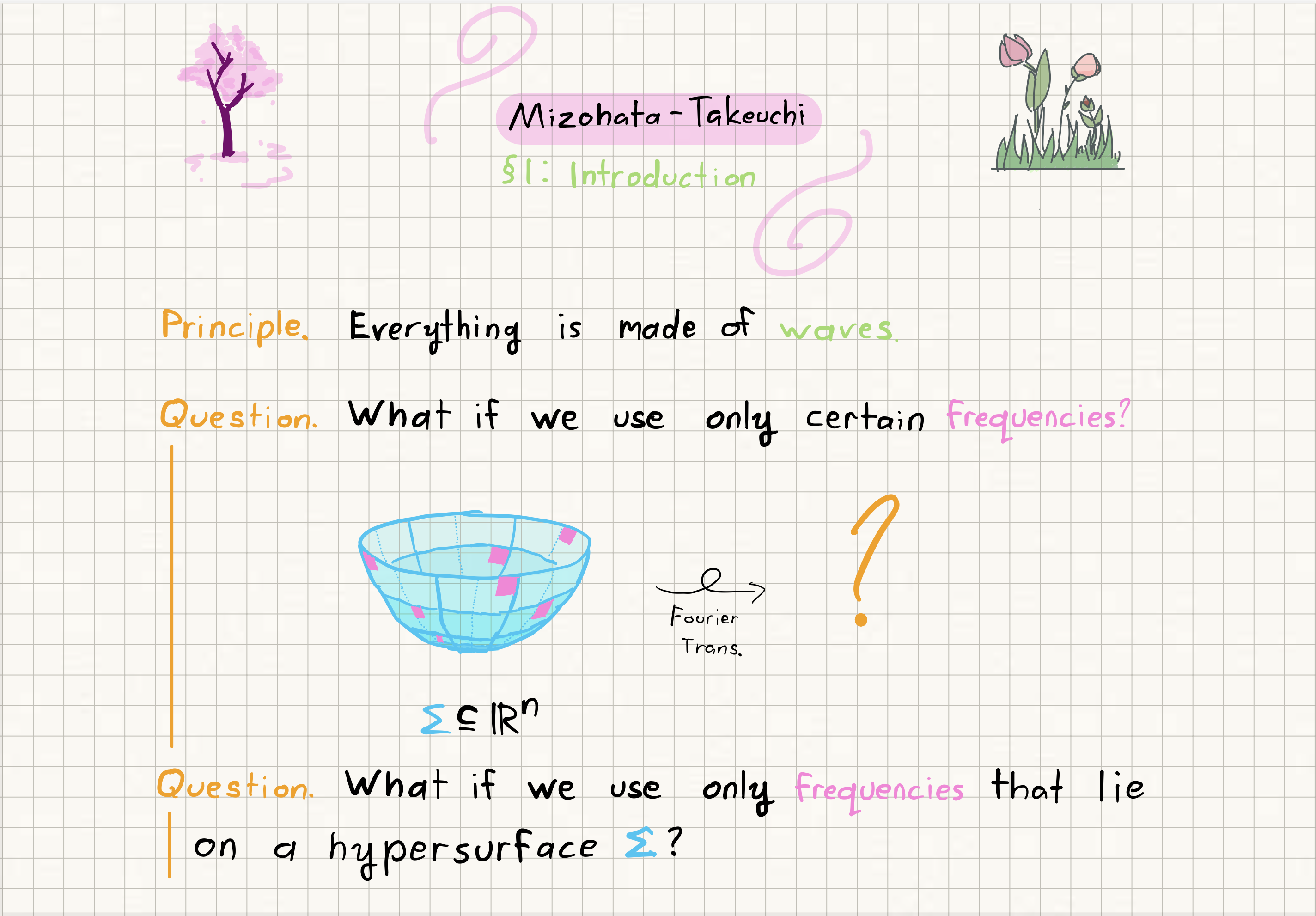 Slide introducing the Mizohata-Takeuchi conjecture