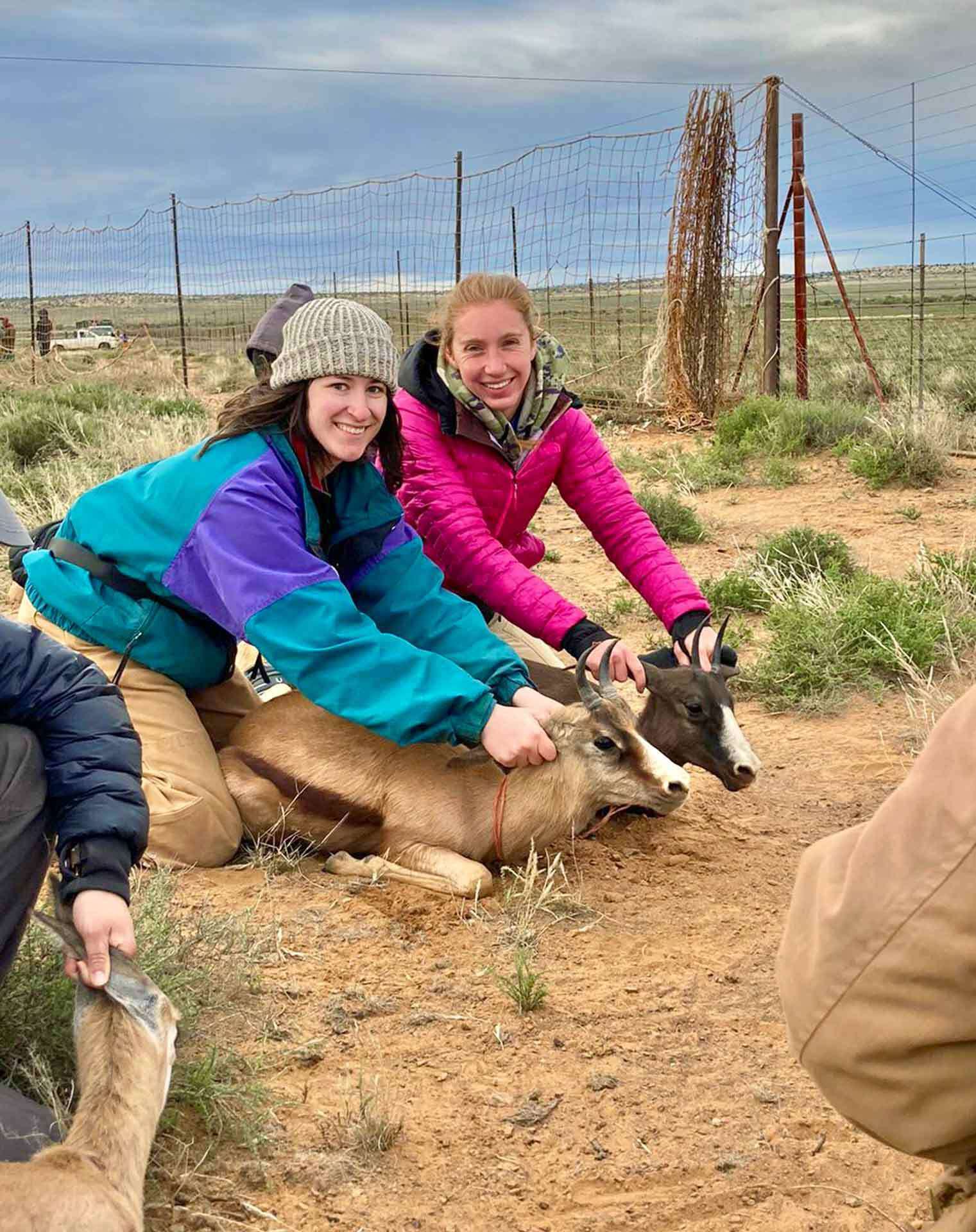 two students hold goat-like animals