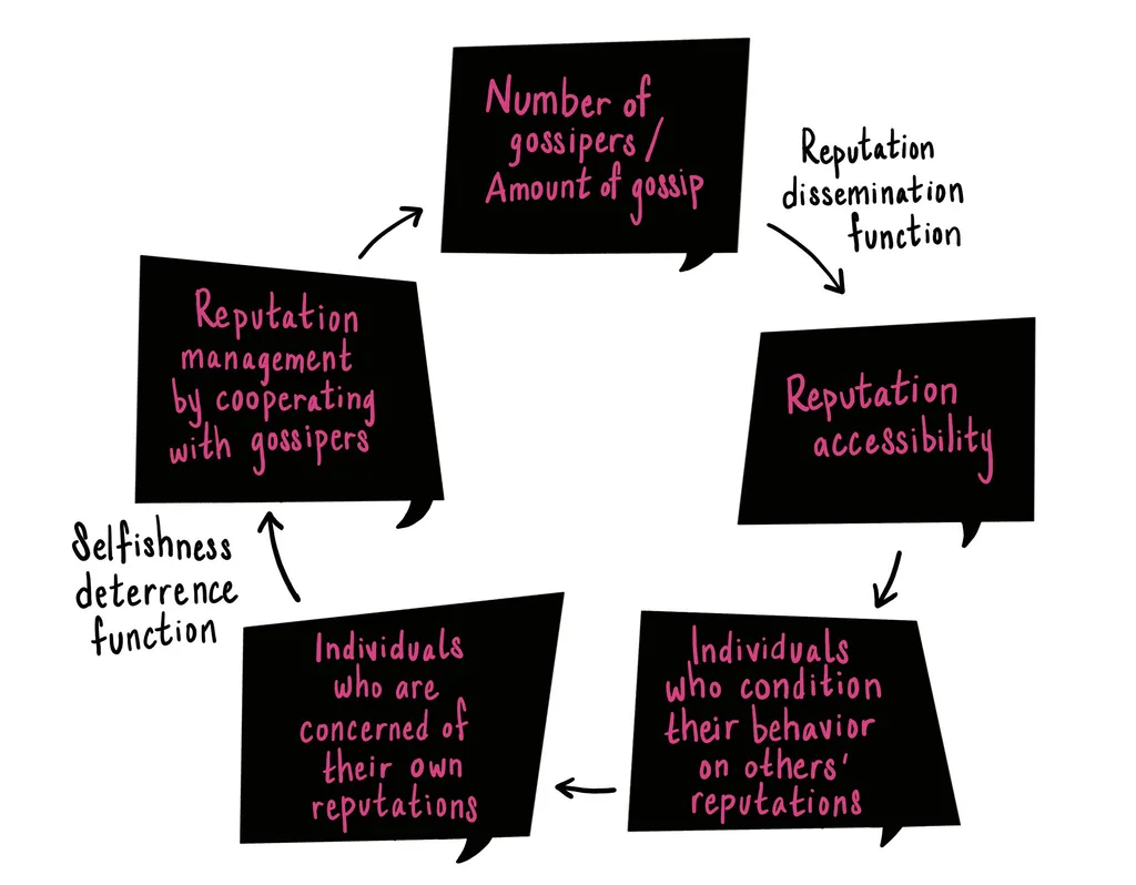 flow chart: number of gossipers/amount of gossip, reputation dissemination function, reputation accessibility, individuals who condition their behavior on others' reputations, individuals who are concerned of their own reputations, selfishness deterrence function, reputation management by cooperating with gossipers