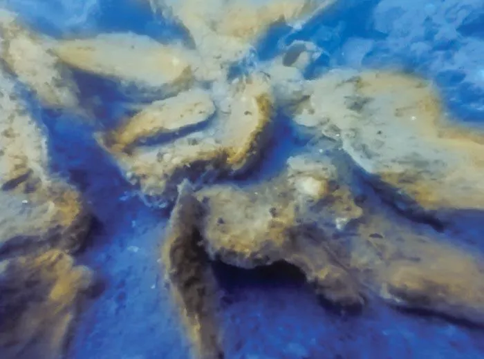 underwater view from a robot