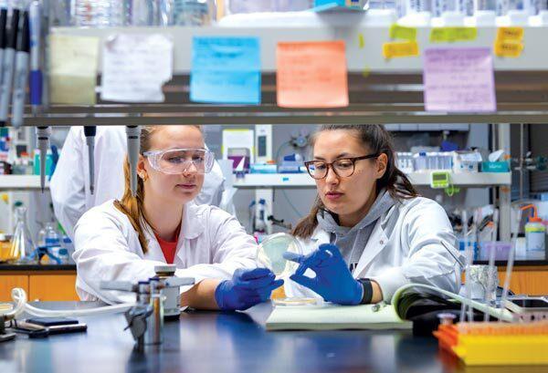 two students work in lab