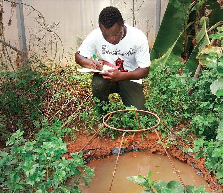 researcher works in field
