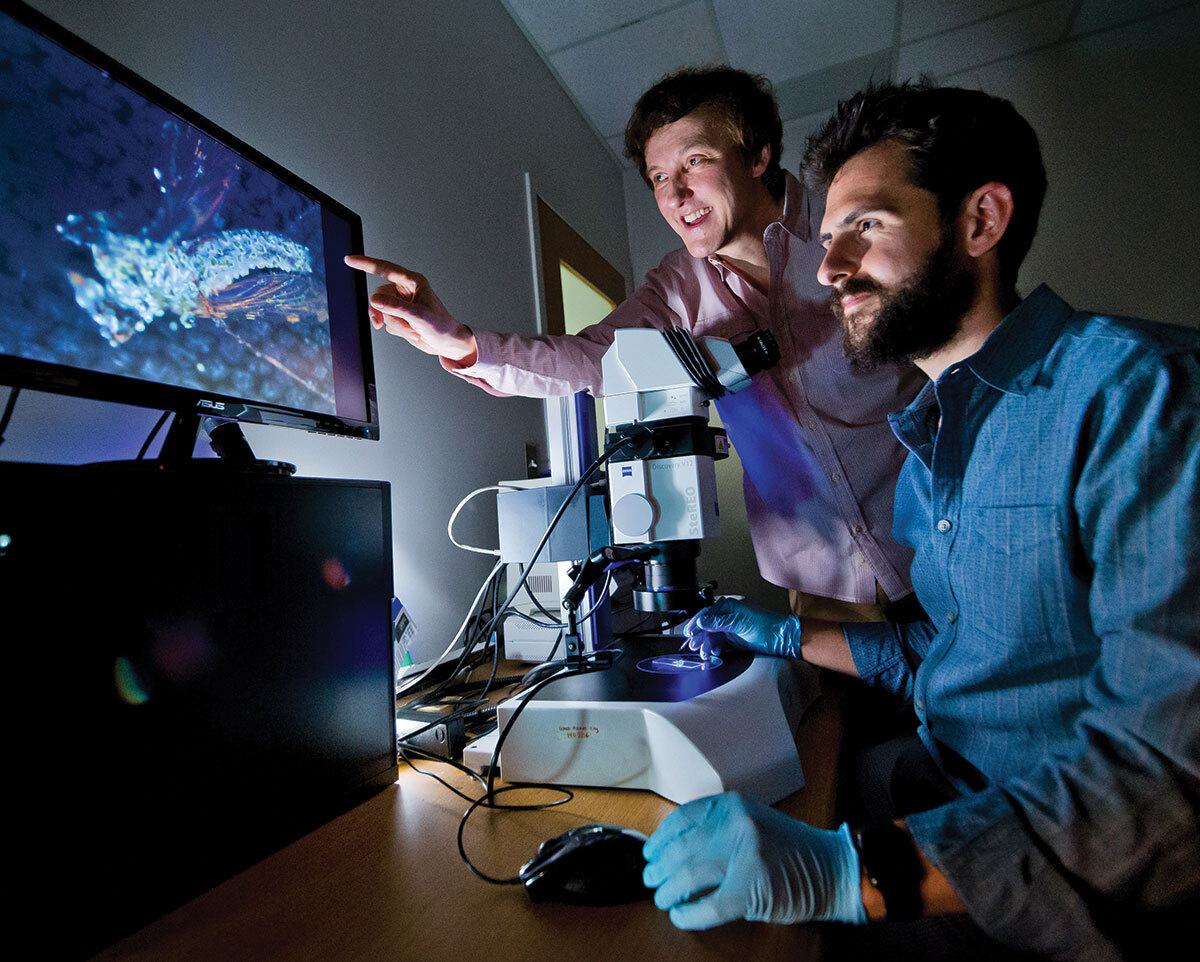 two researchers look at microscope in lab