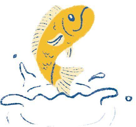 fish