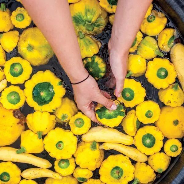 hands hold yellow peppers