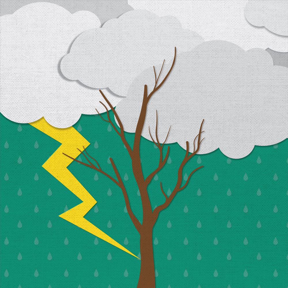 lightning strikes tree illustration