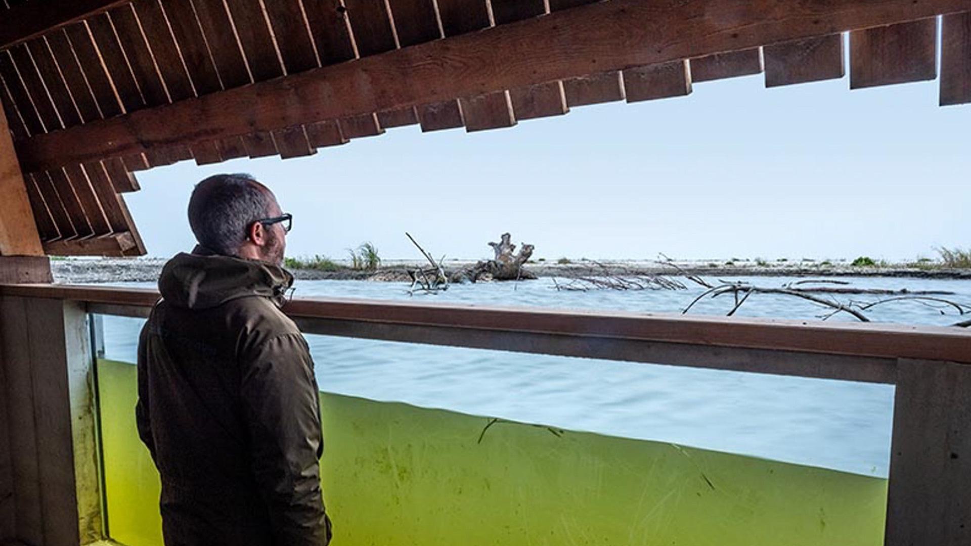 man stands in hide immersed in lake water