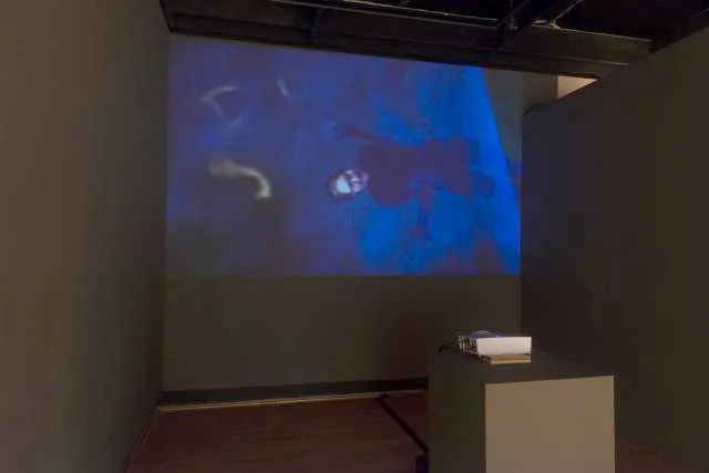 Projected image