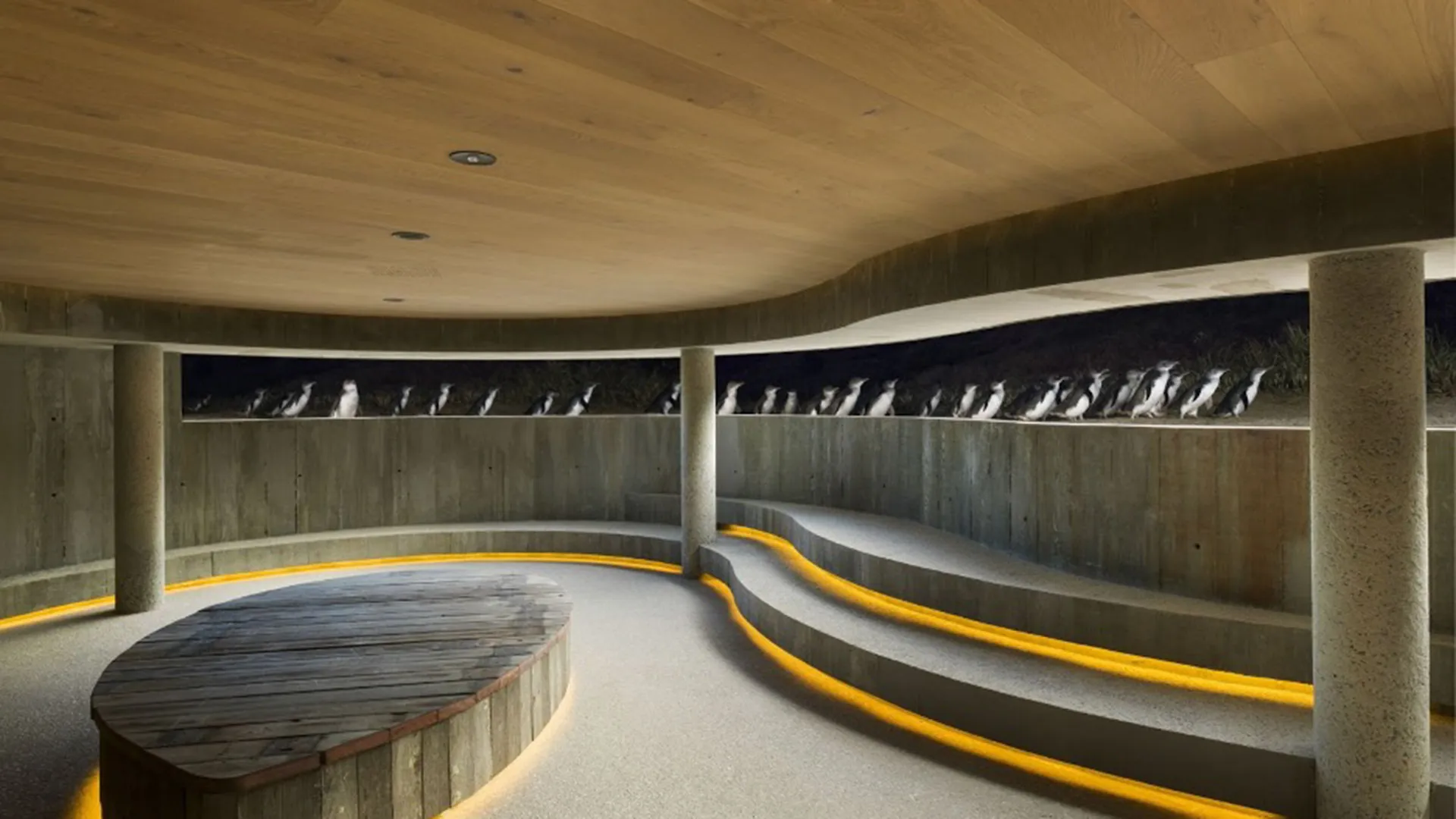 penguins in bunker-like structure