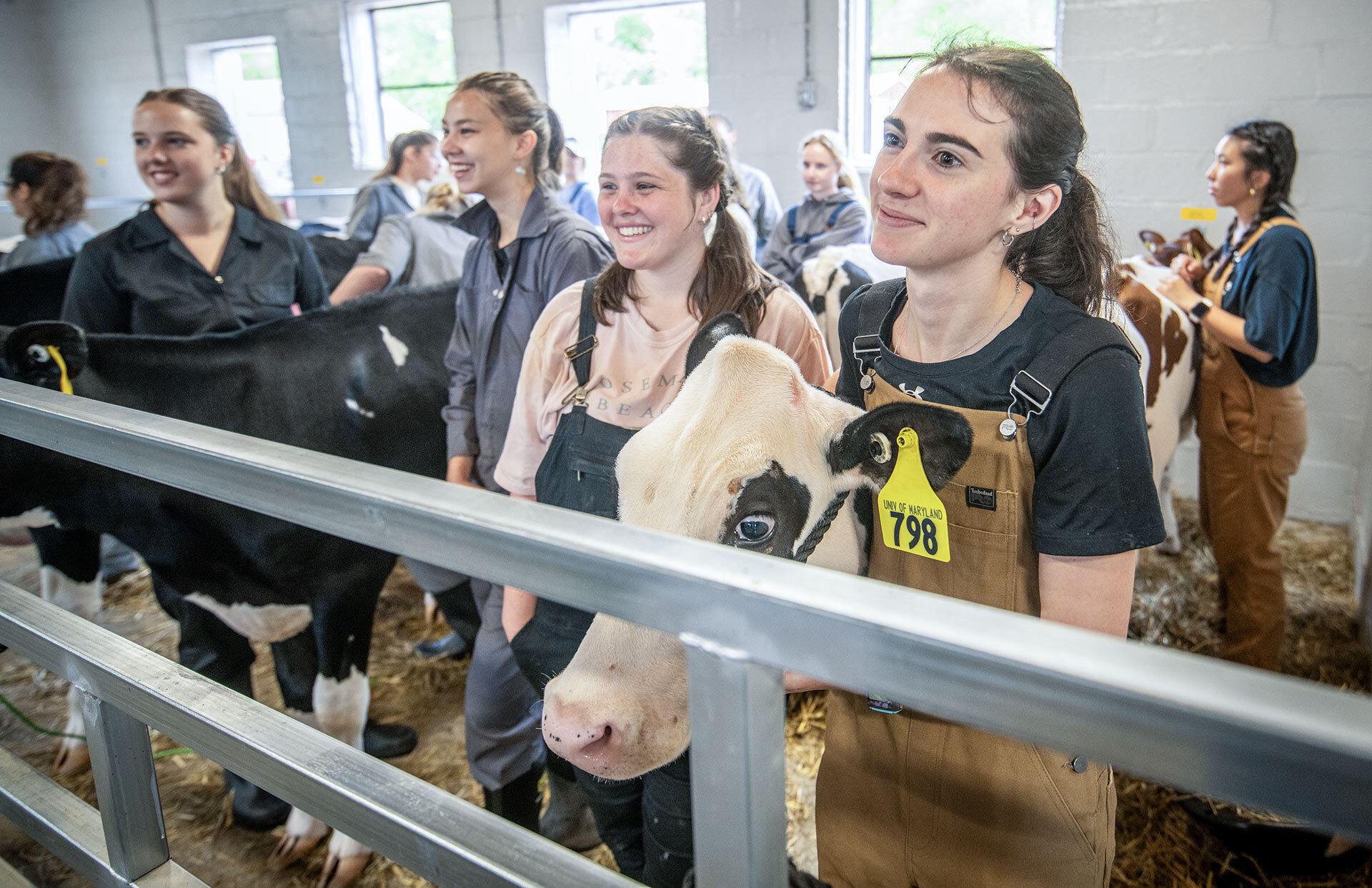 A group of smiling young women attend to cows