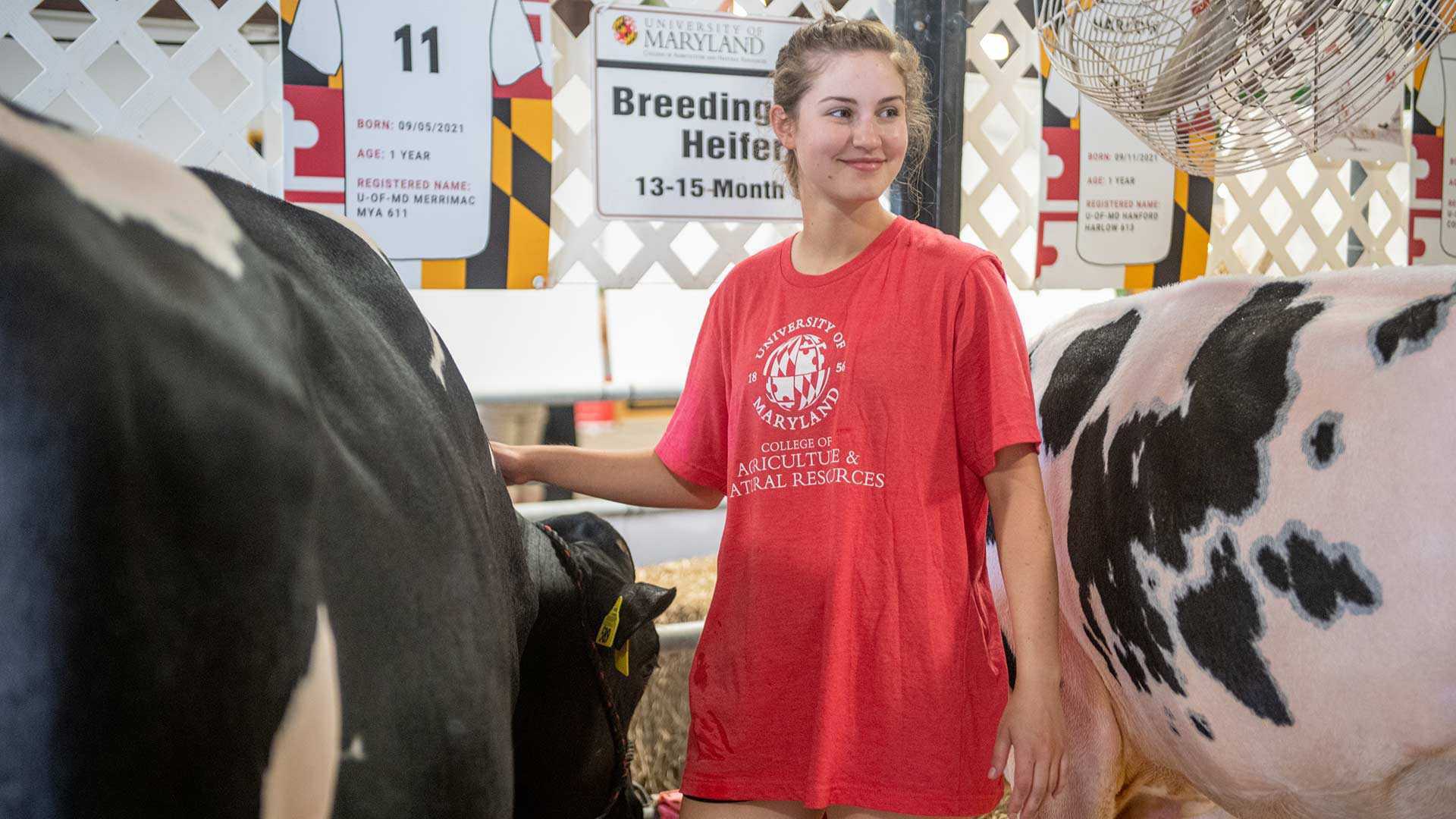 girl pets cow