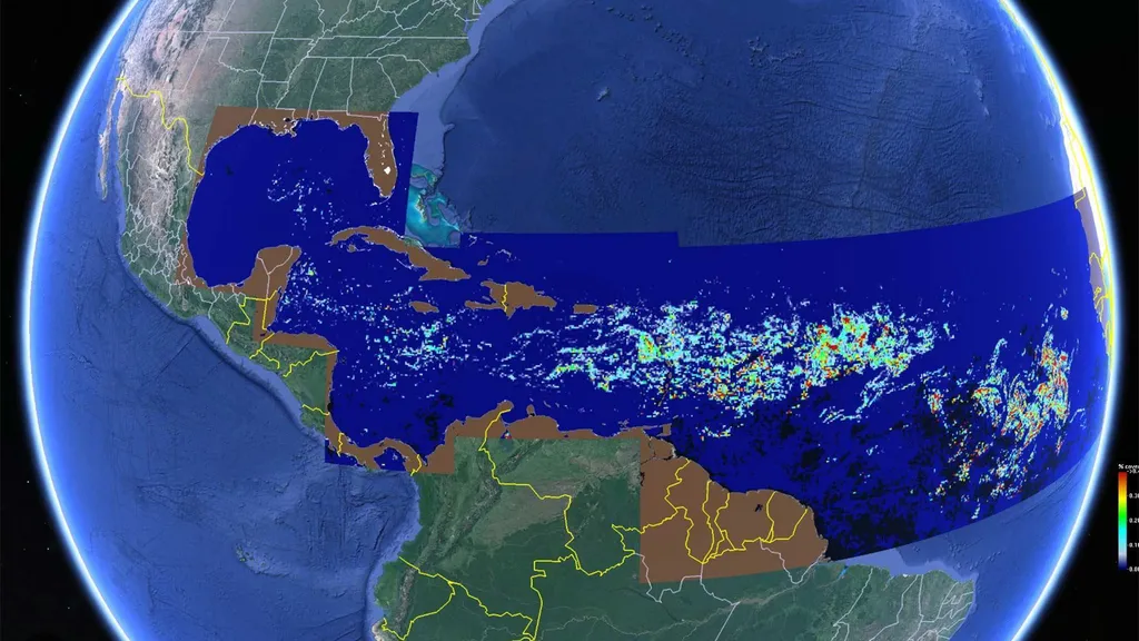 Satellite image shows the sargassum belt in March 2023