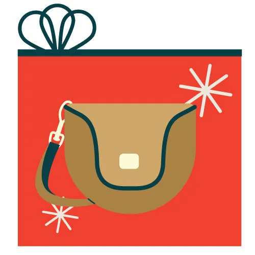Illustration of a purse in a gift box