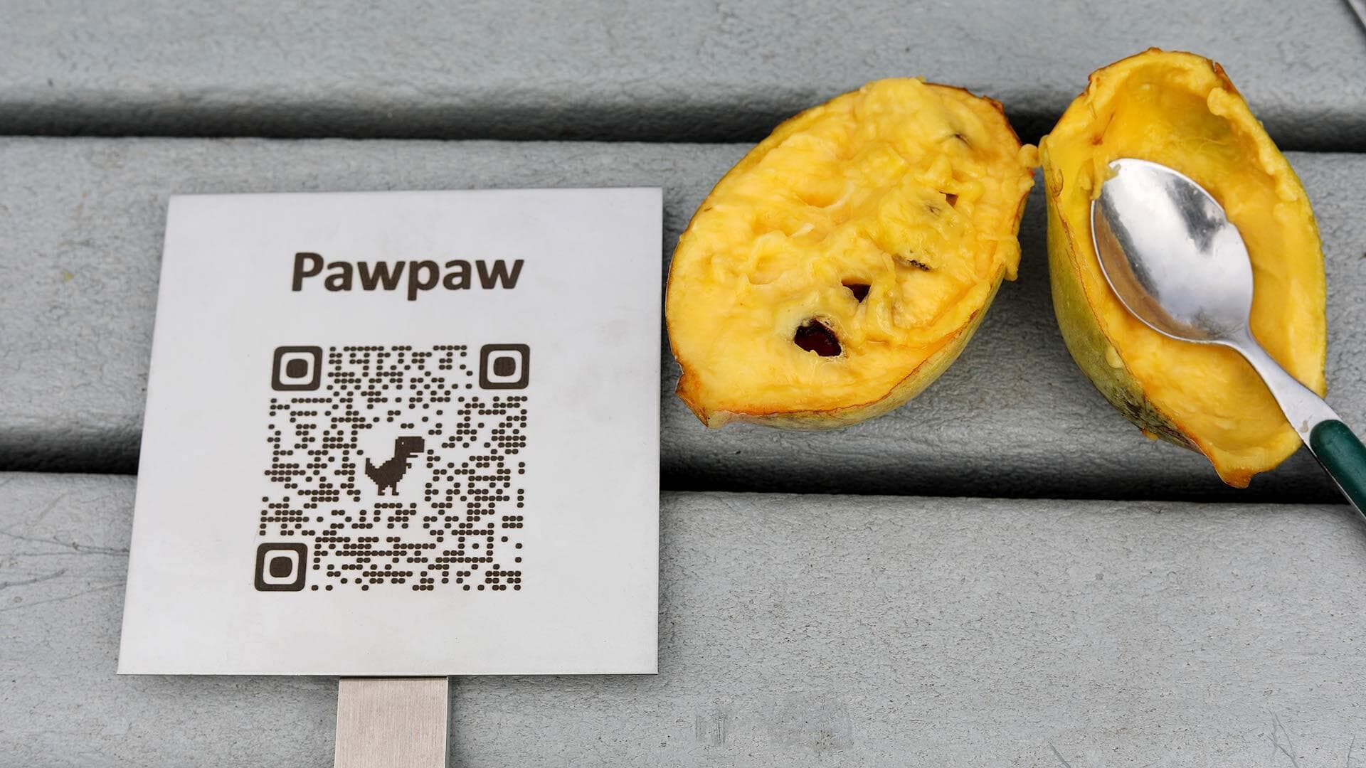 pawpaw next to sign with QR code