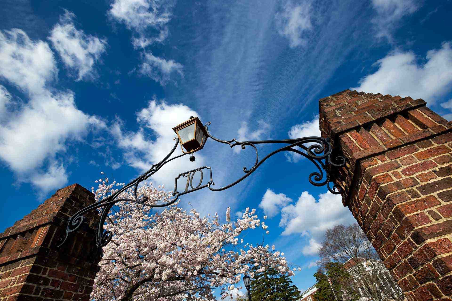 gate with cherry blossoms