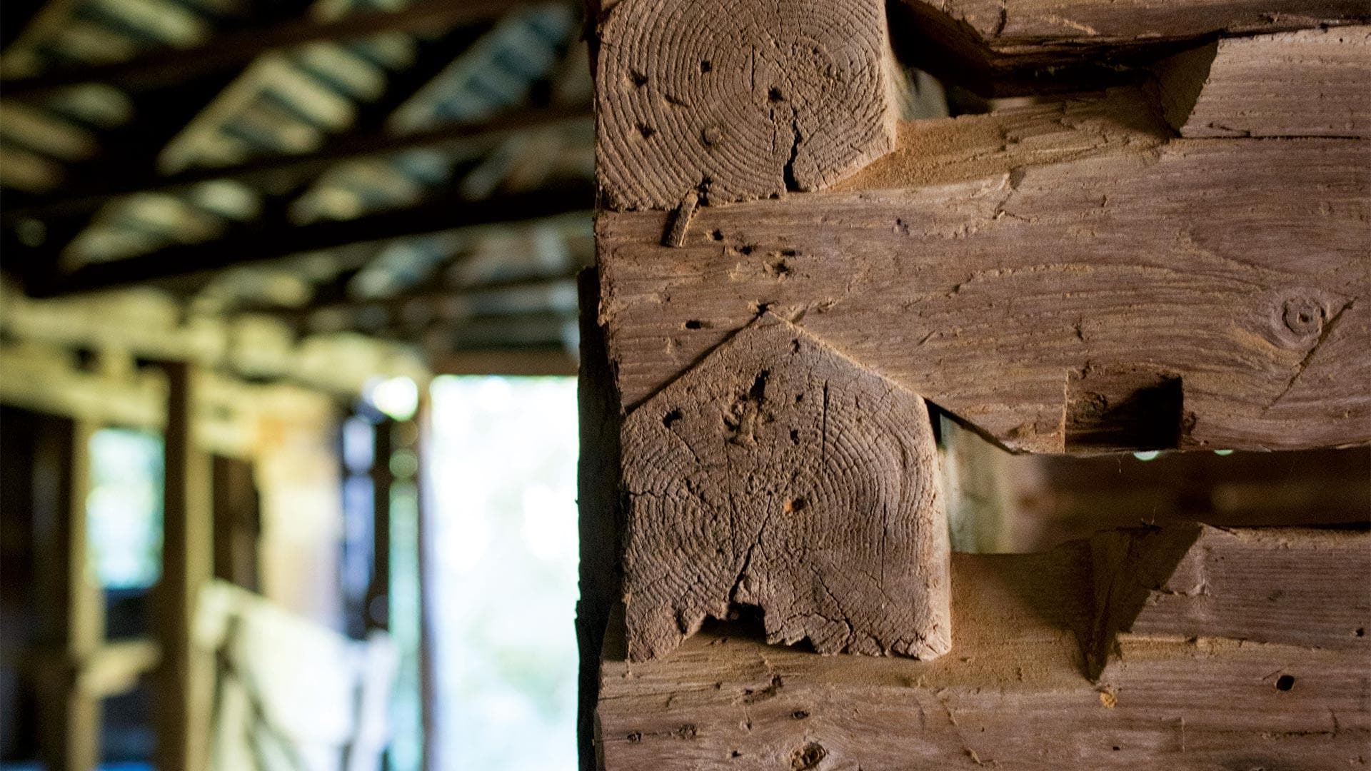 closeup details of wood in tobacco barn