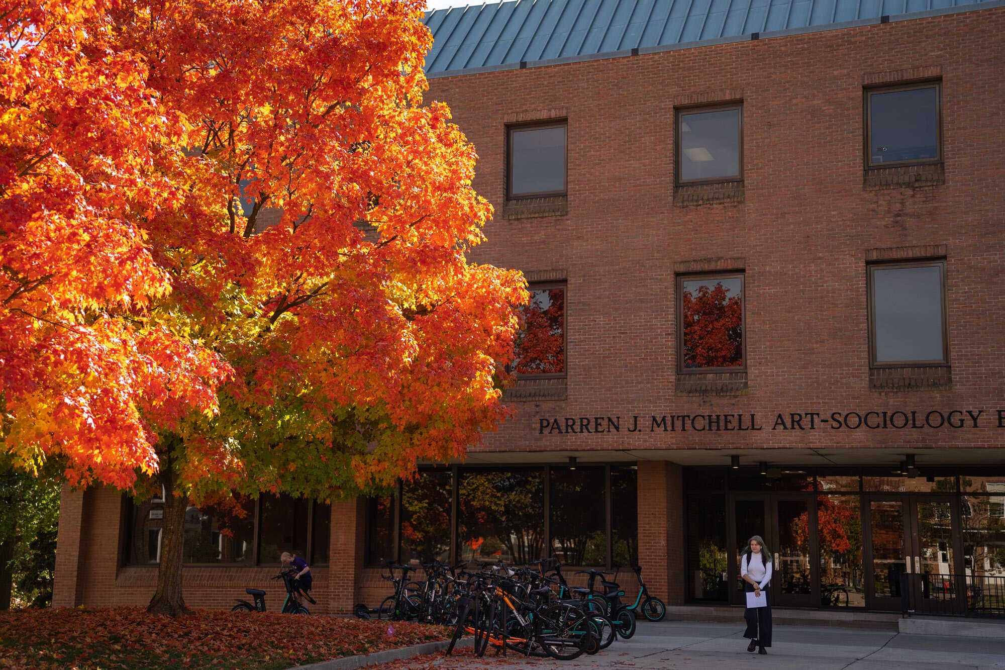 a bright orange tree by the art-sociology building